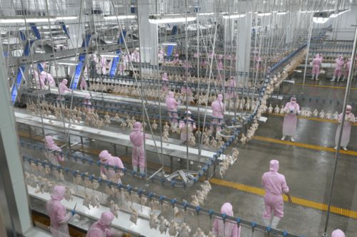 援產(chǎn)業(yè)扶智脫貧 促團結(jié)穩(wěn)定邊疆——首都國企援疆餐飲管理工作紀實